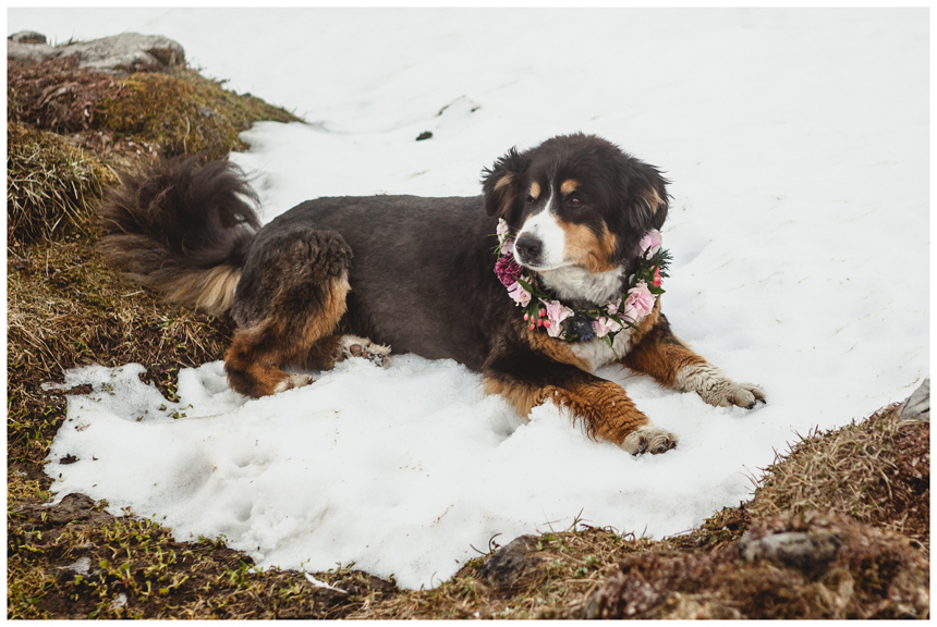 38 Hochzeit auf dem Nebelhorn Marion dos Santos Fotografin Allgaeu